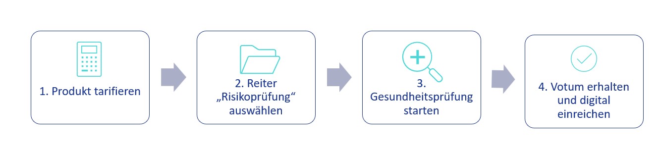 Abbildung zum Prozess der digitalen Risikoprüfung