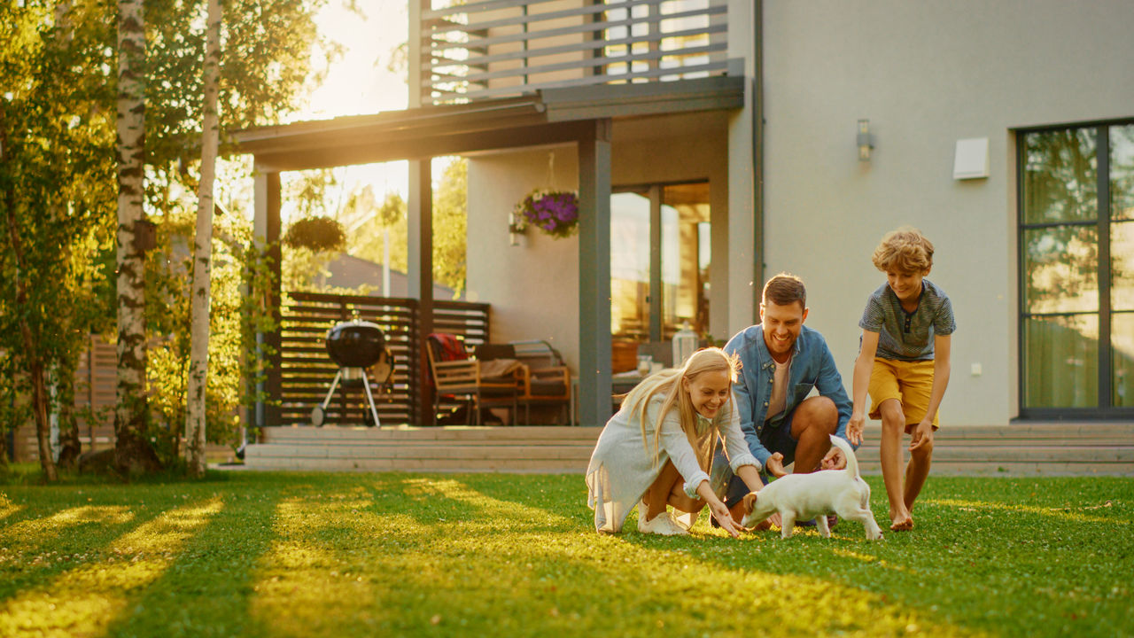 Eine junge Familie spielt abends bei Sonnenuntergang im Garten mit ihrem Hund.